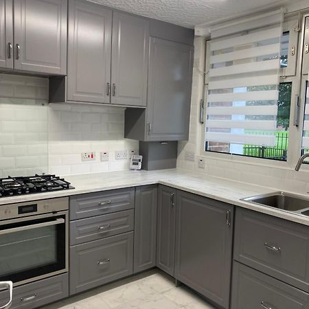 Luxury 3 Bedroom Flat With Garden London Eksteriør billede